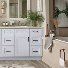 RTA Shaker Solid Wood Vanity Single Sink Base Cabinet White With 6 Drawers for Bathroom Storage